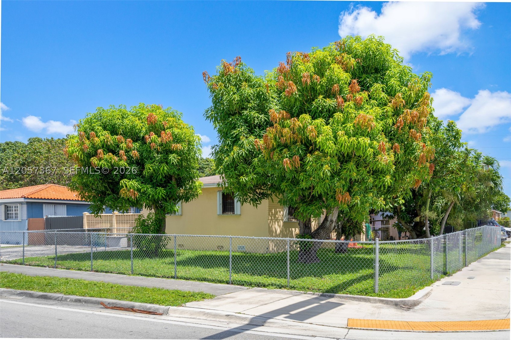 Hialeah photo 3