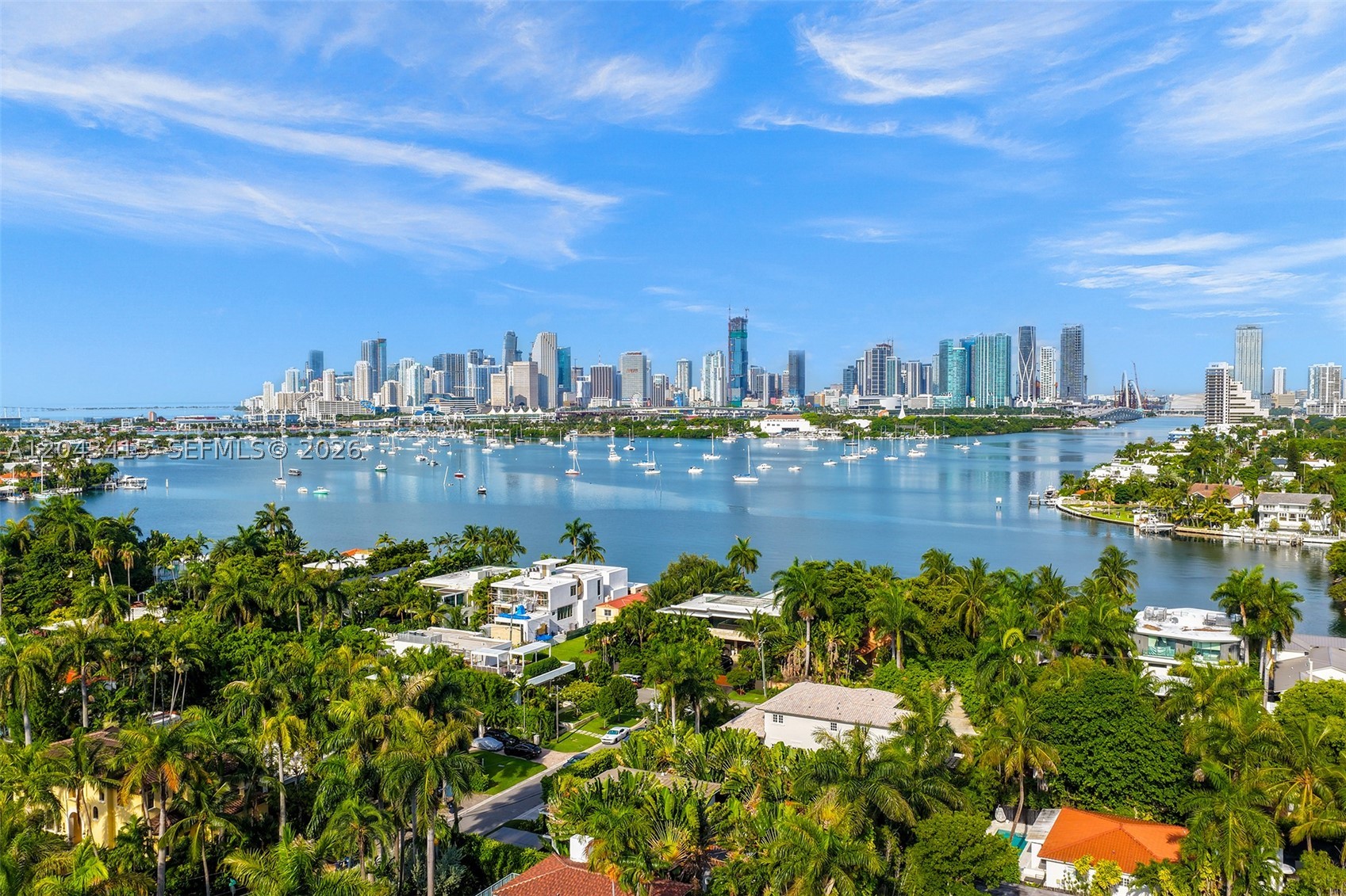 Miami Beach photo 4