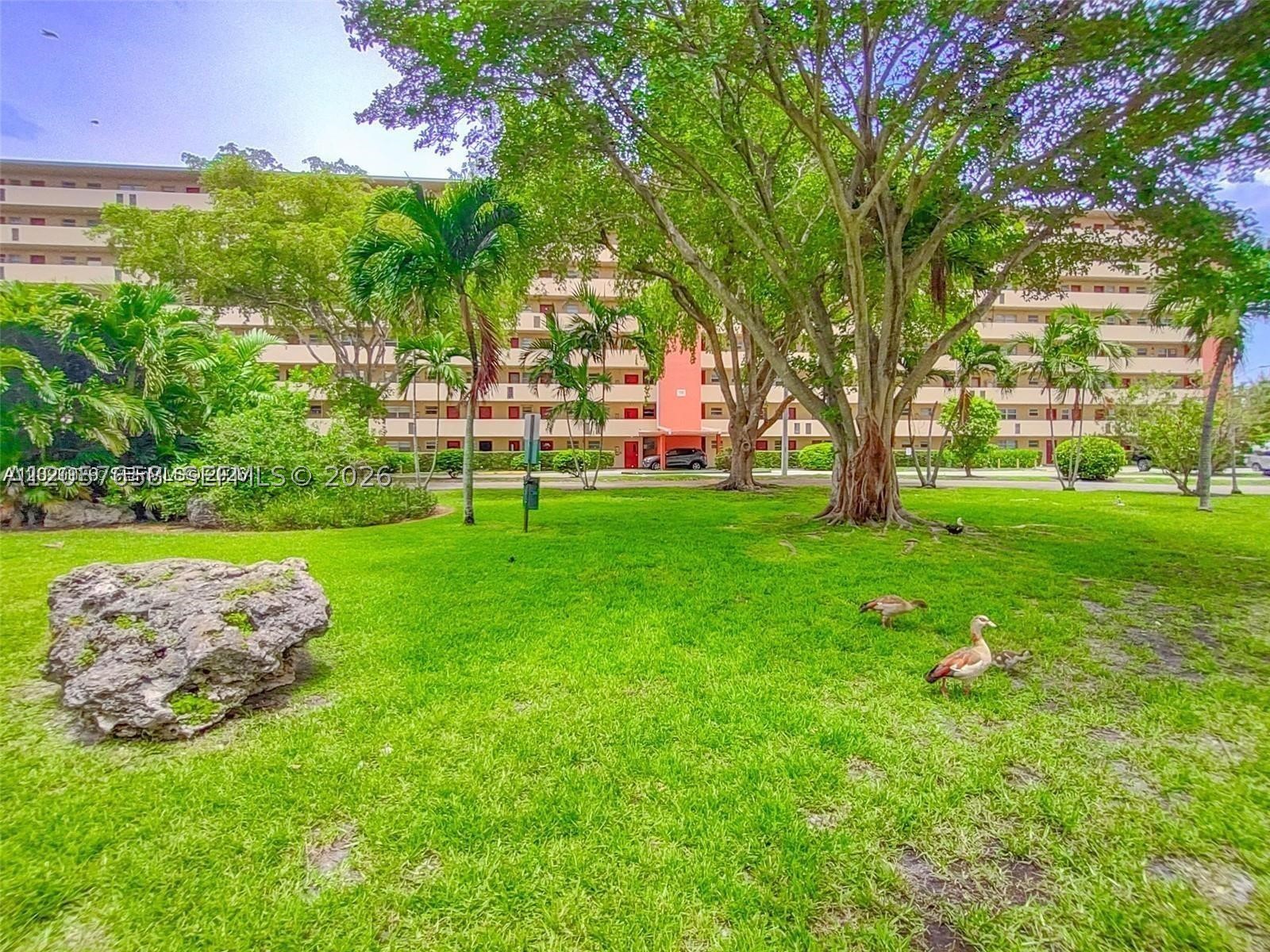 Miami photo 1