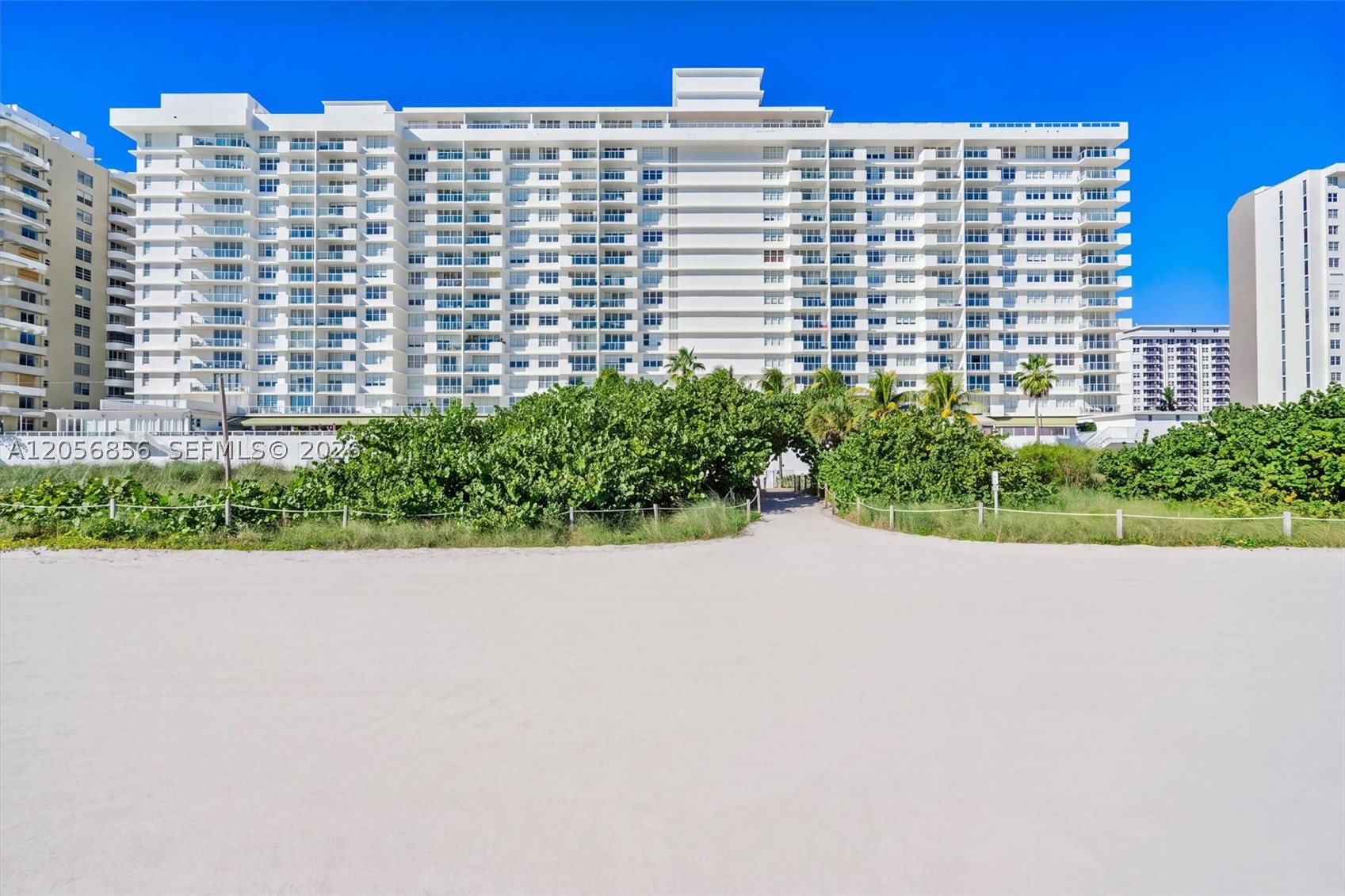 Miami Beach photo 3