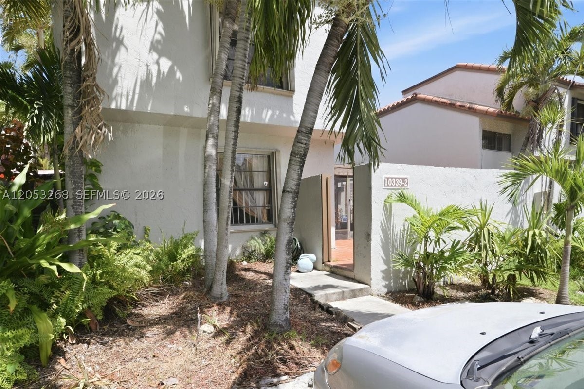 Miami photo 5