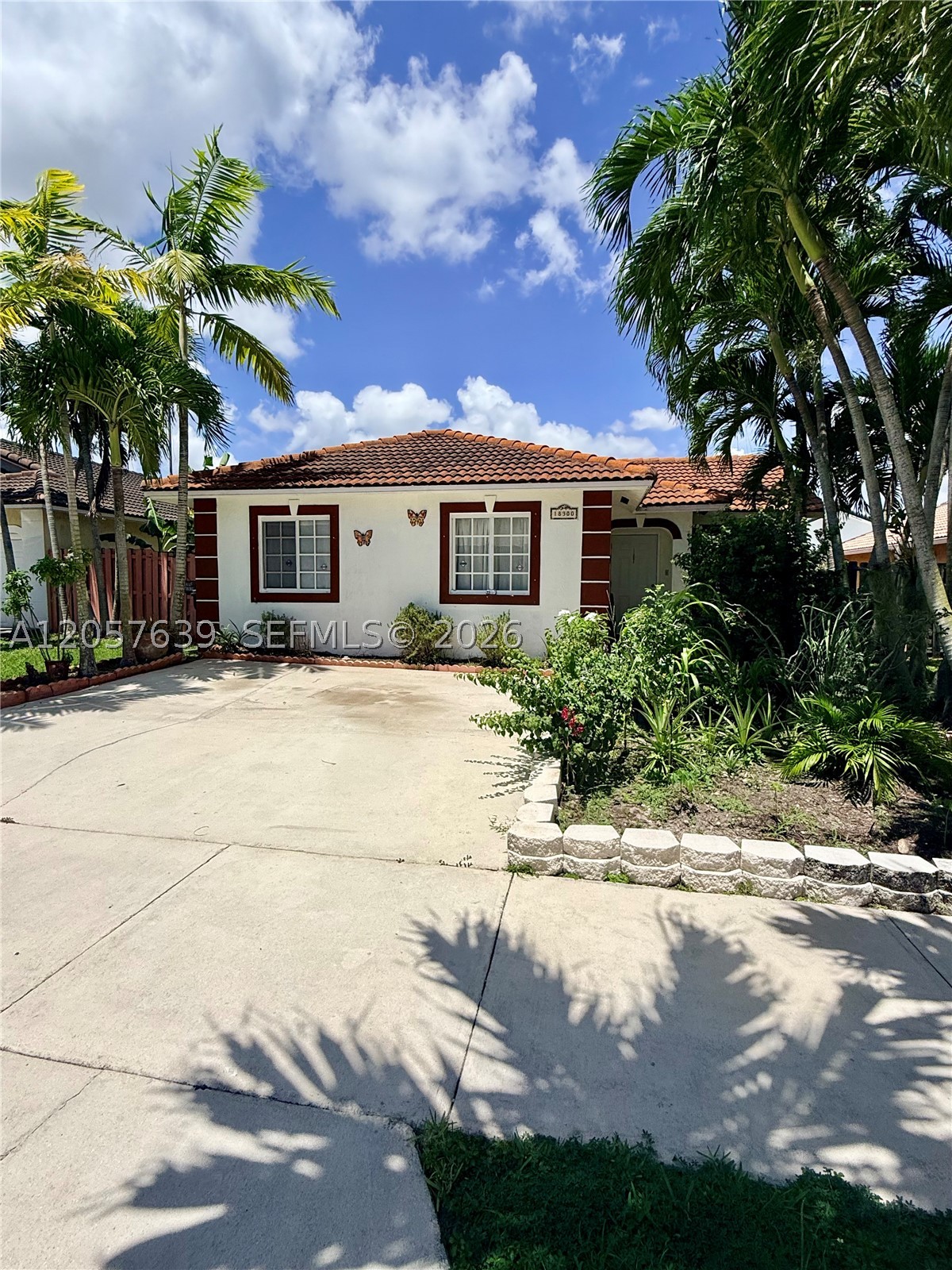 Miami photo 3