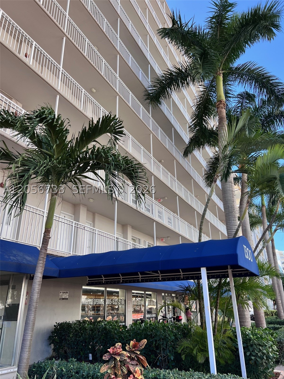 Miami Beach photo 4