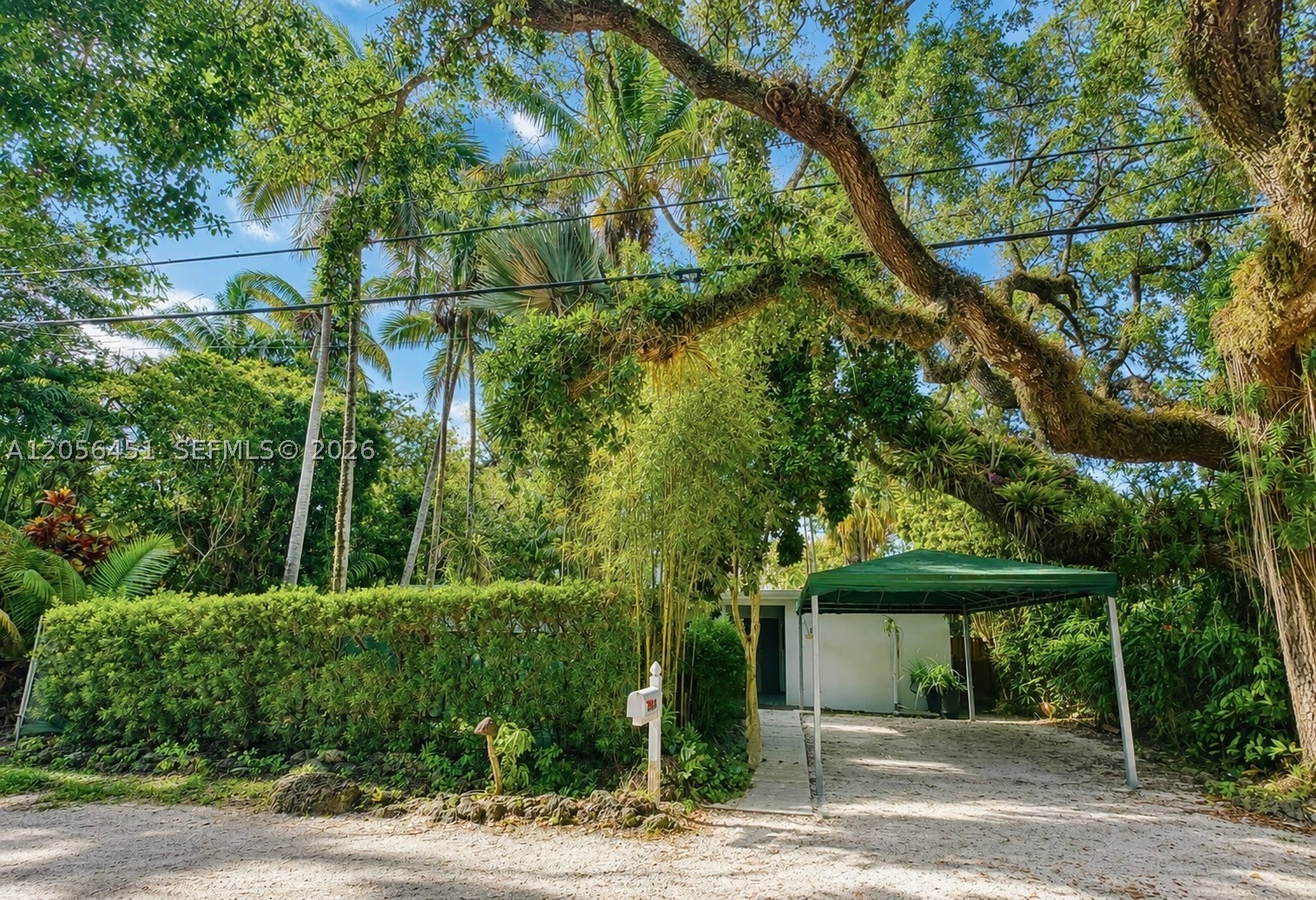 South Miami photo 2