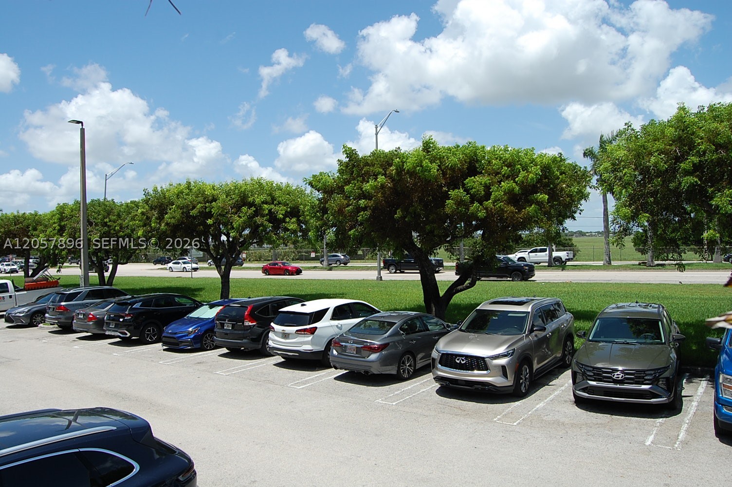 Miami photo 2