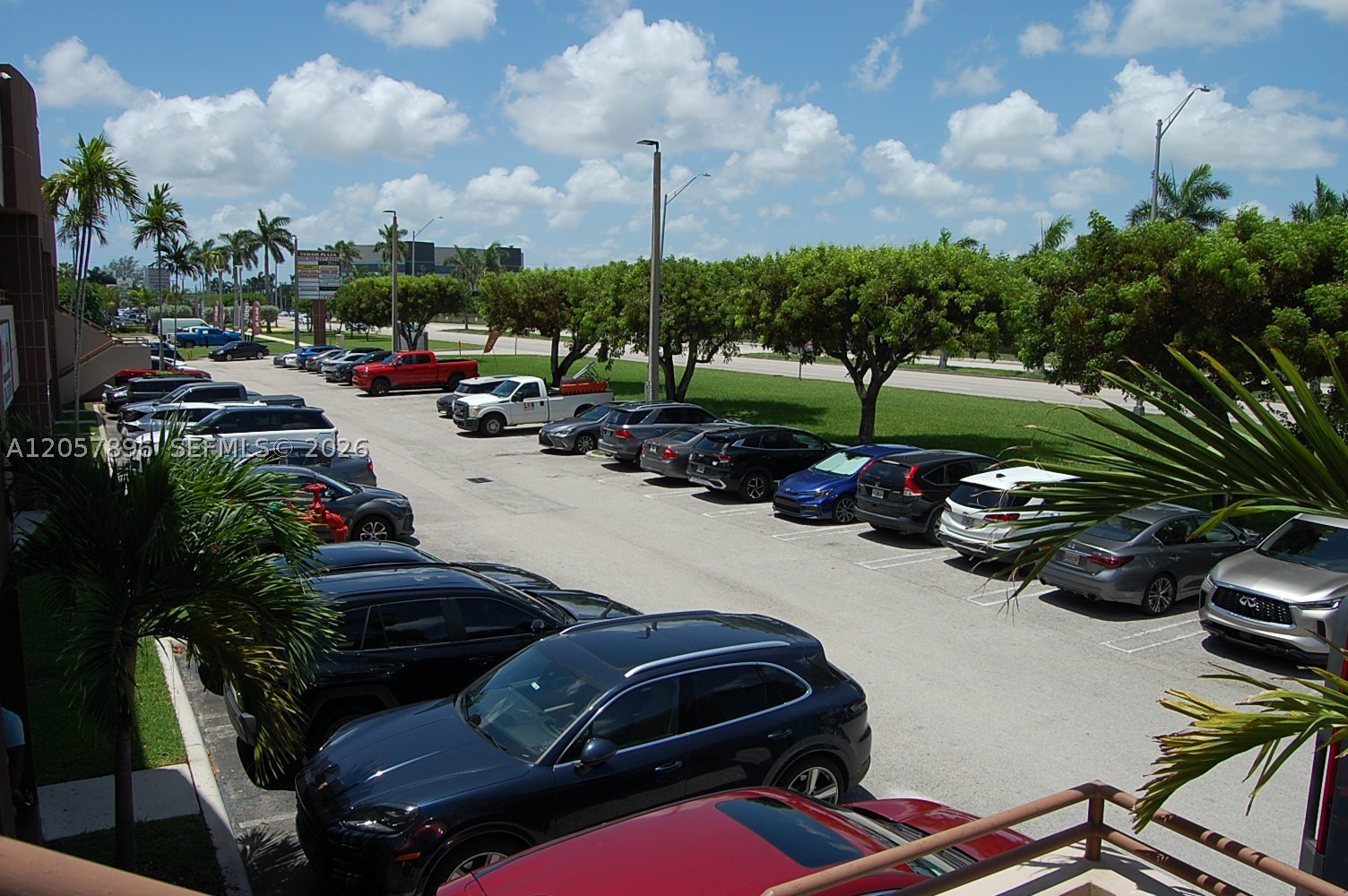 Miami photo 3