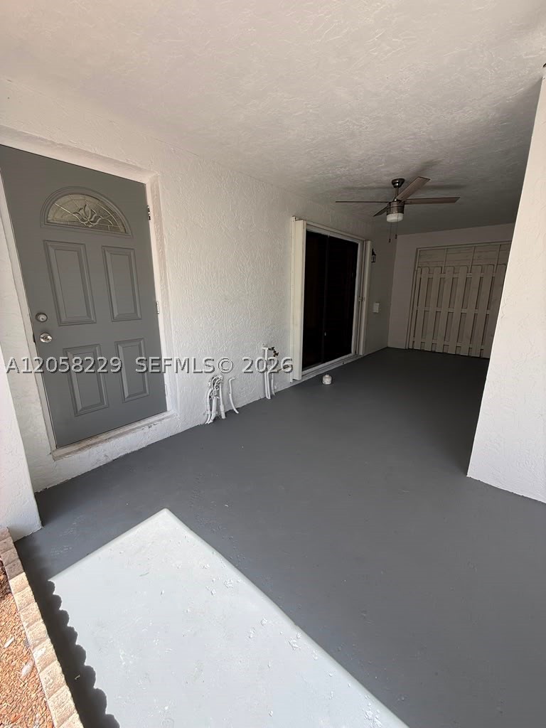 Miami photo 3