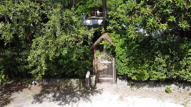 Miami photo 2