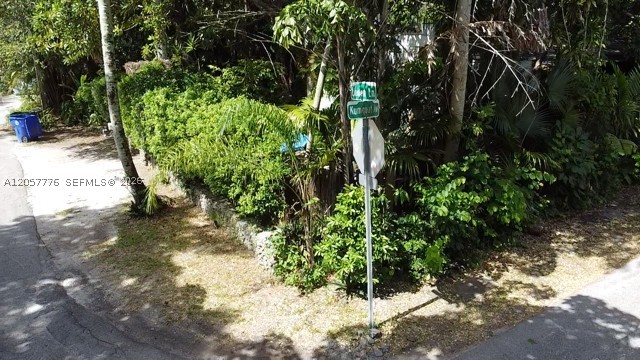 Miami photo 3