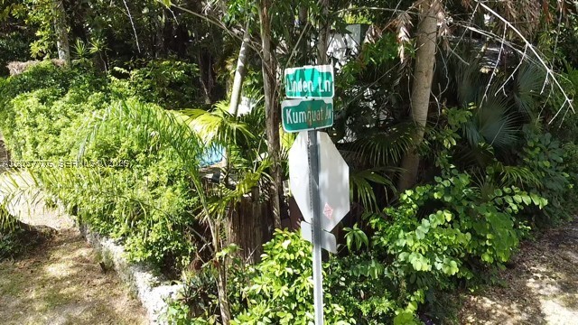 Miami photo 4