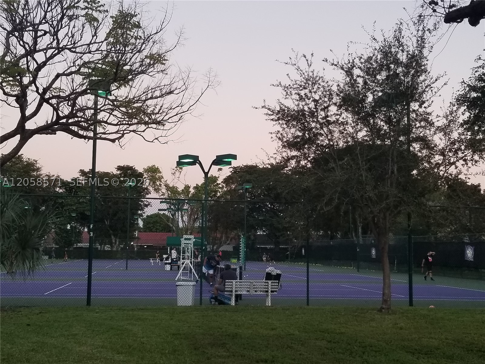 Miami photo 1