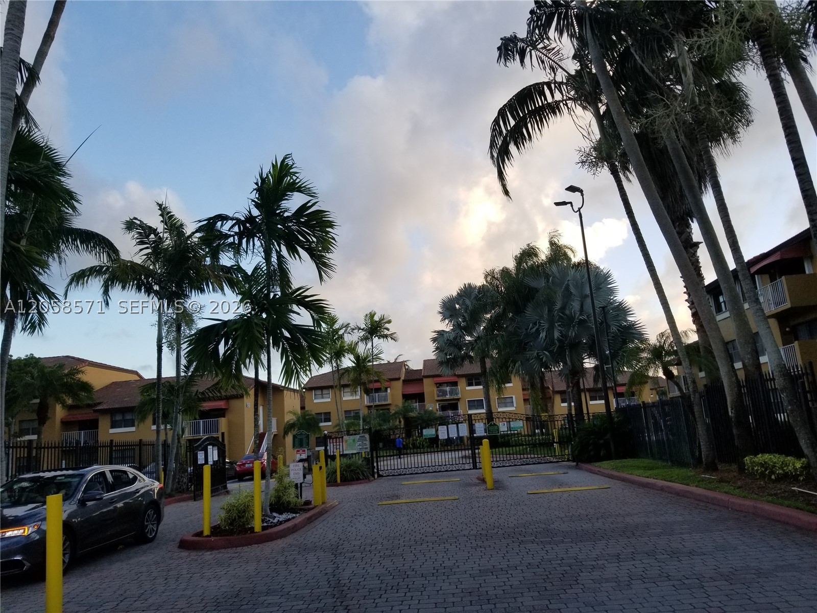 Miami photo 3