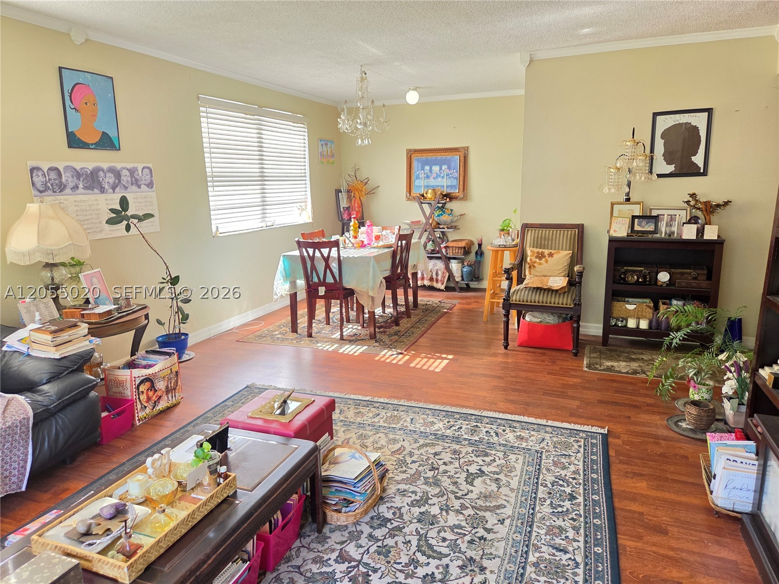 Miami Shores photo 4