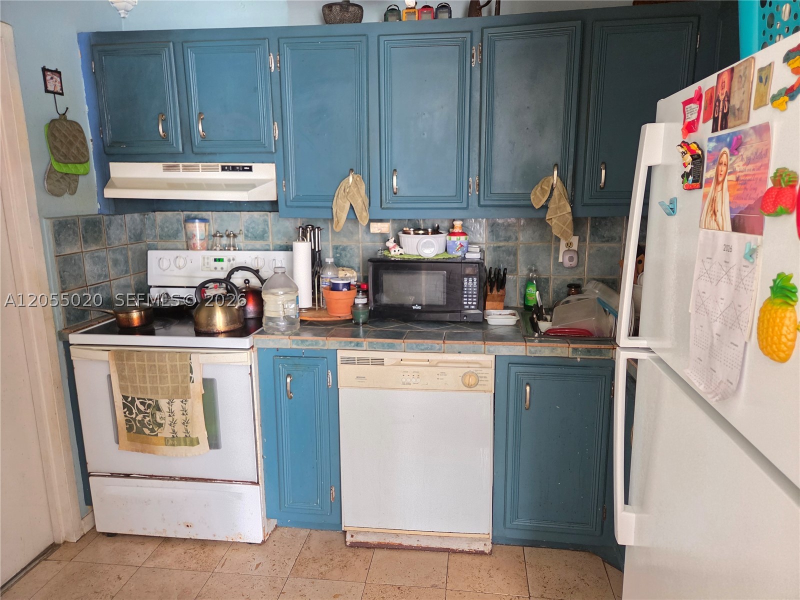 Miami Shores photo 5