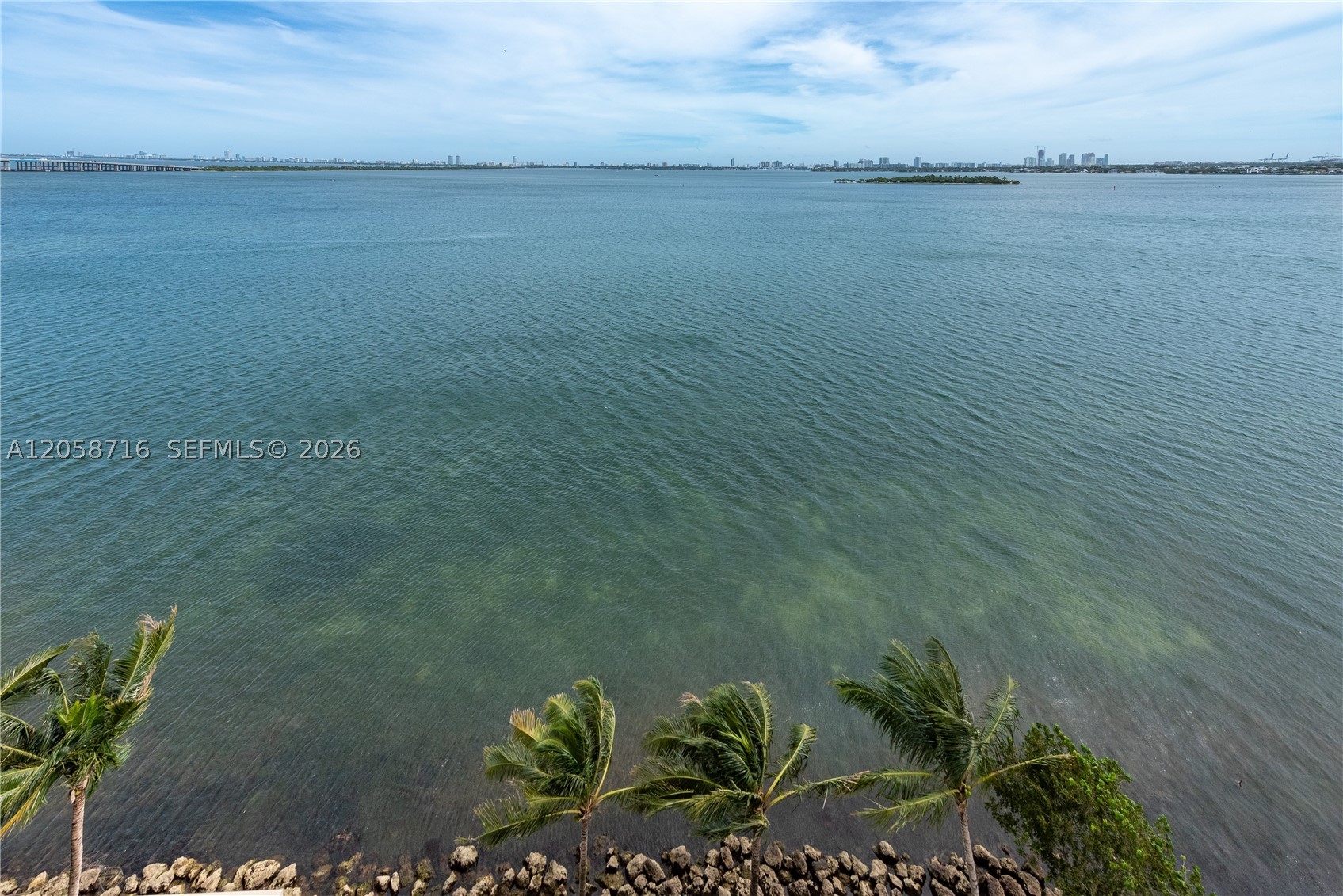 Miami photo 5