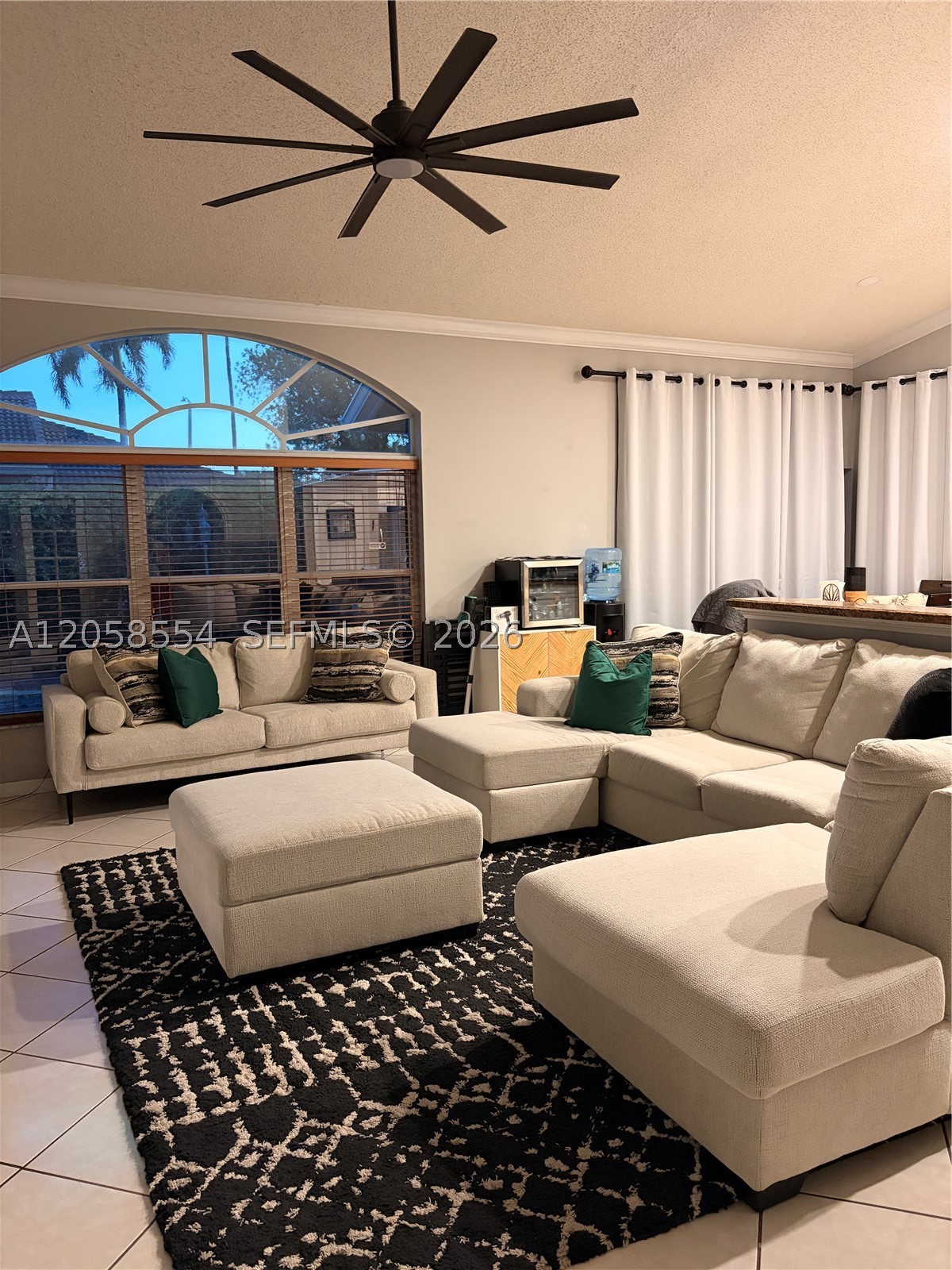 Pembroke Pines photo 4
