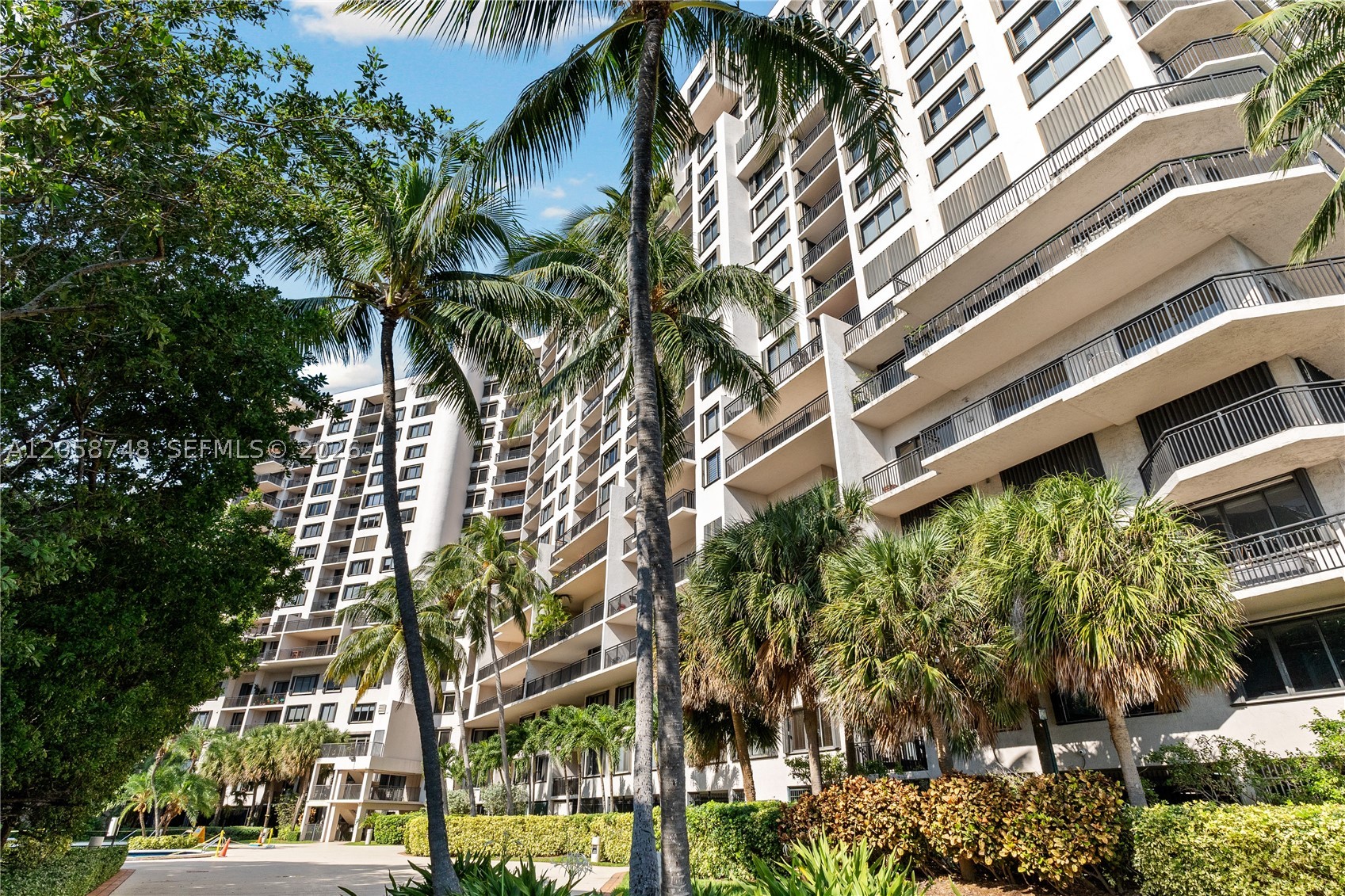 Miami photo 2
