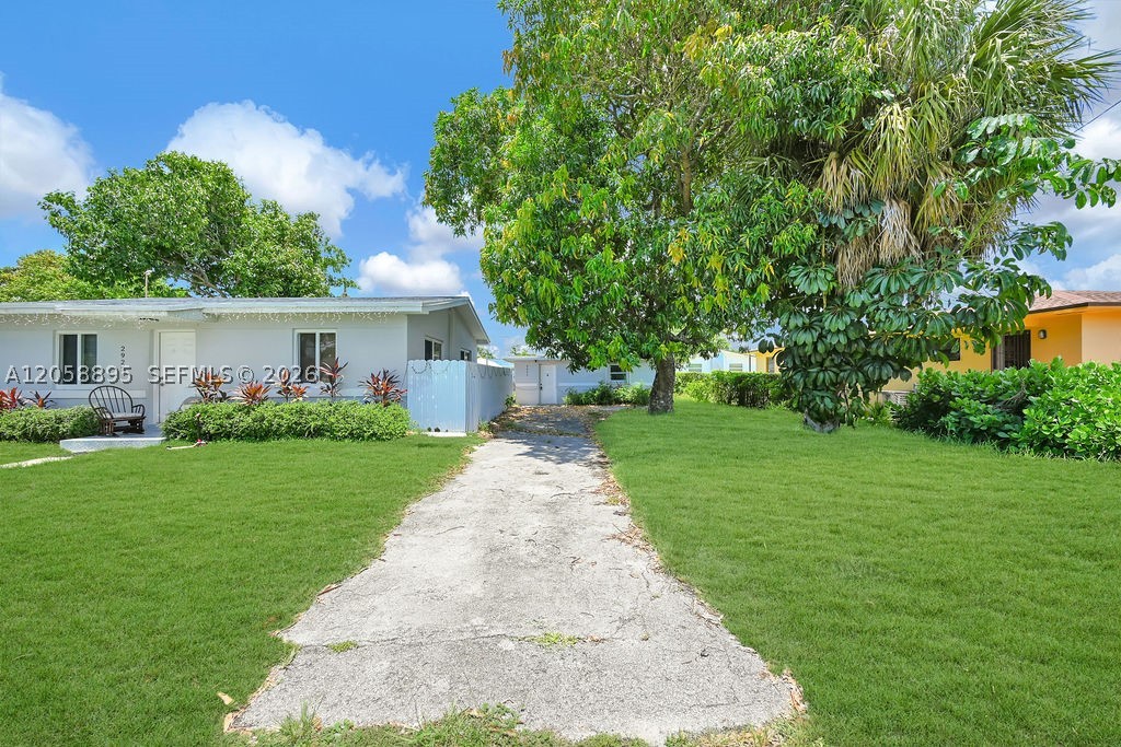 Miami photo 1