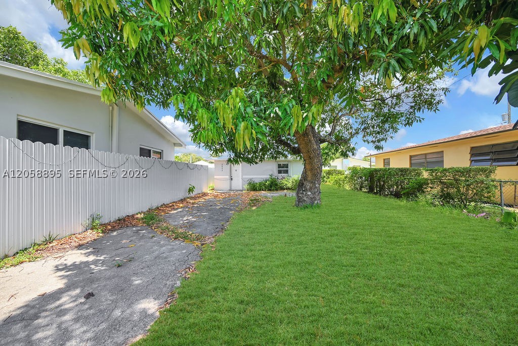 Miami photo 3