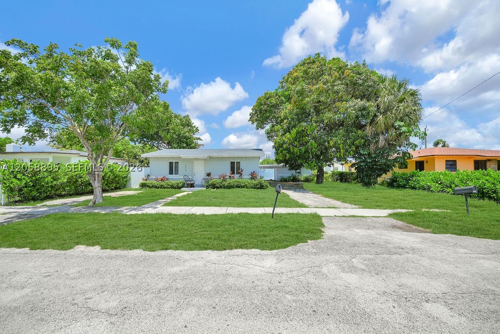 Miami photo 4