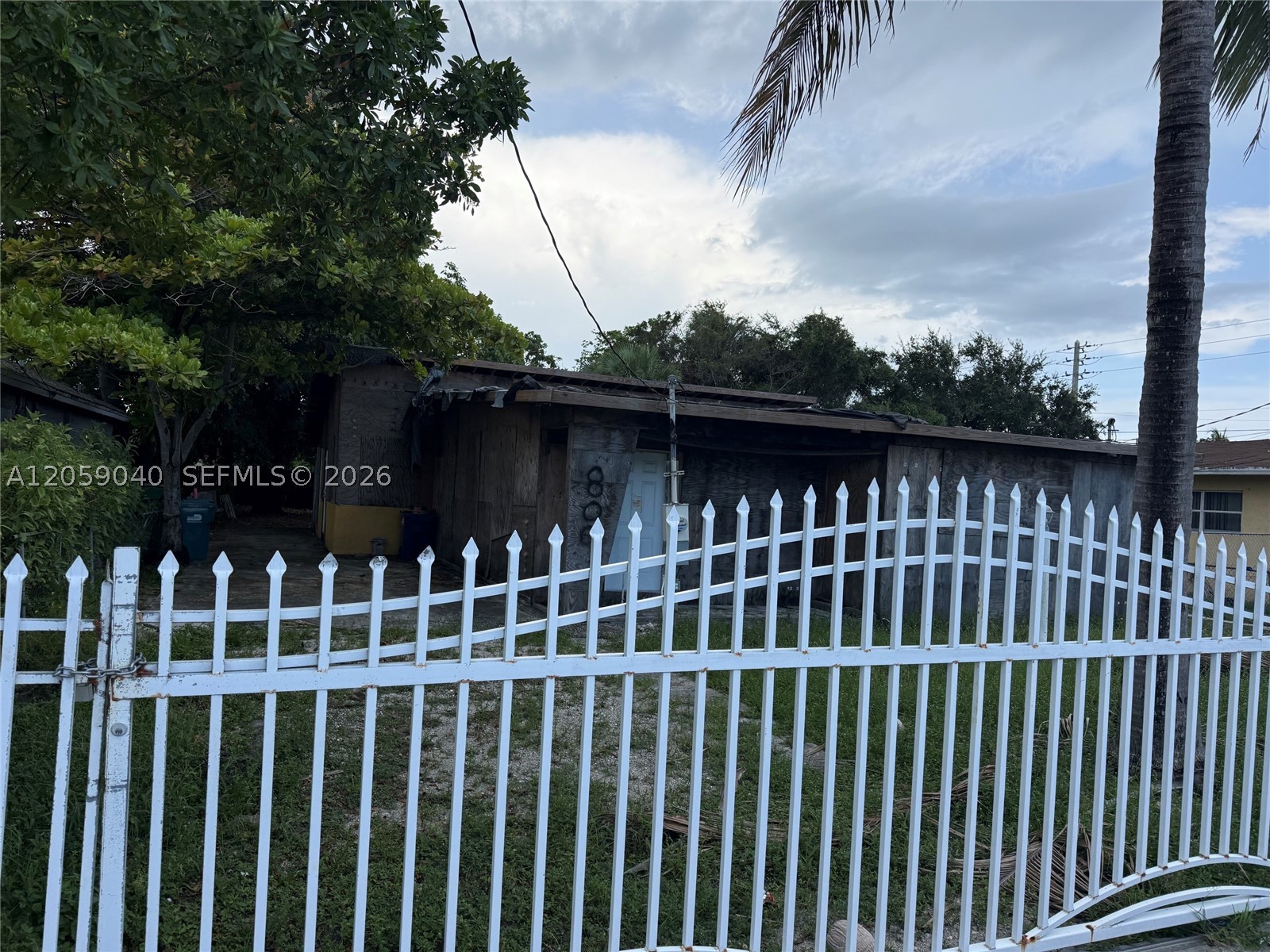 Miami photo 1
