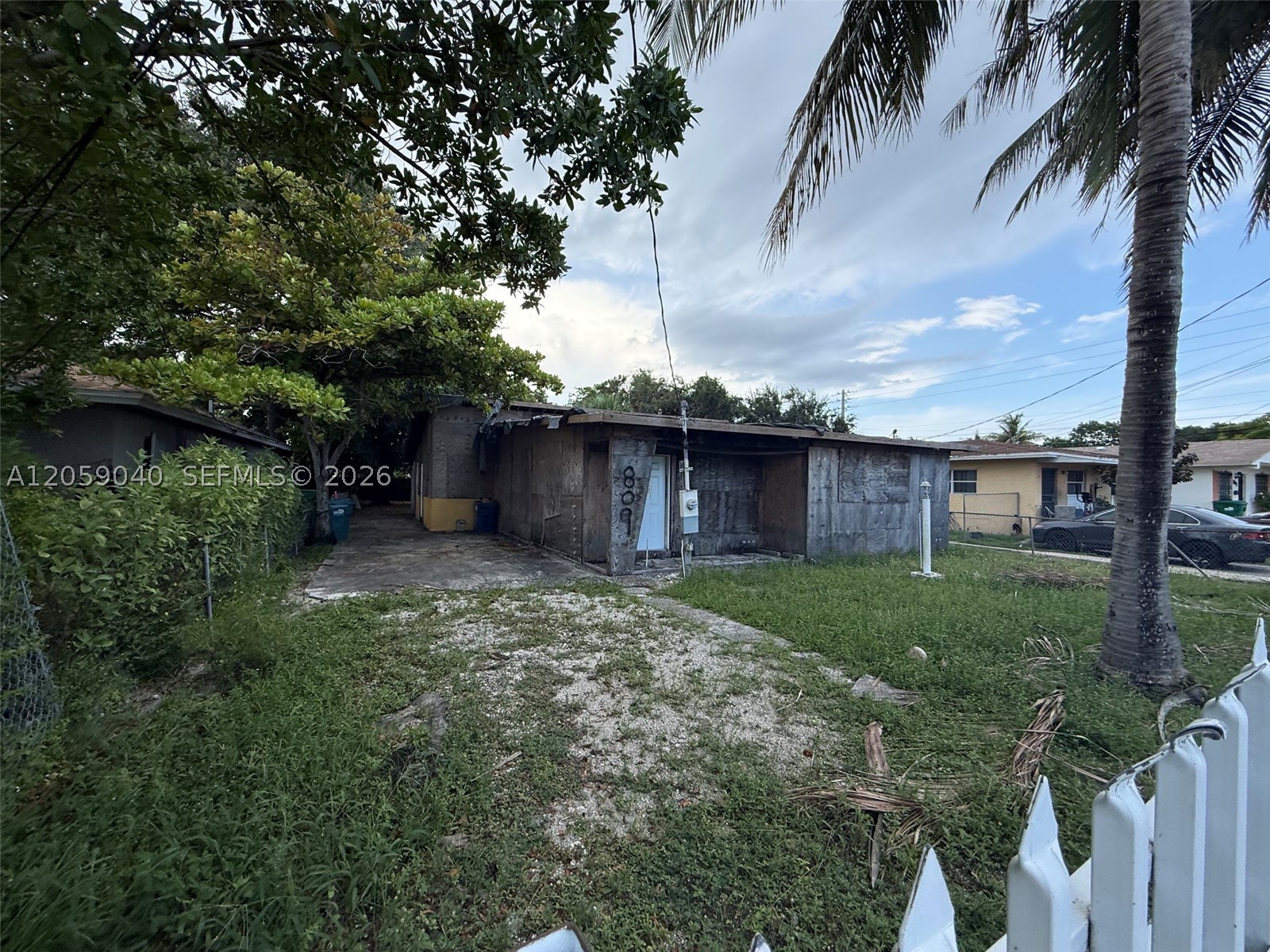 Miami photo 2