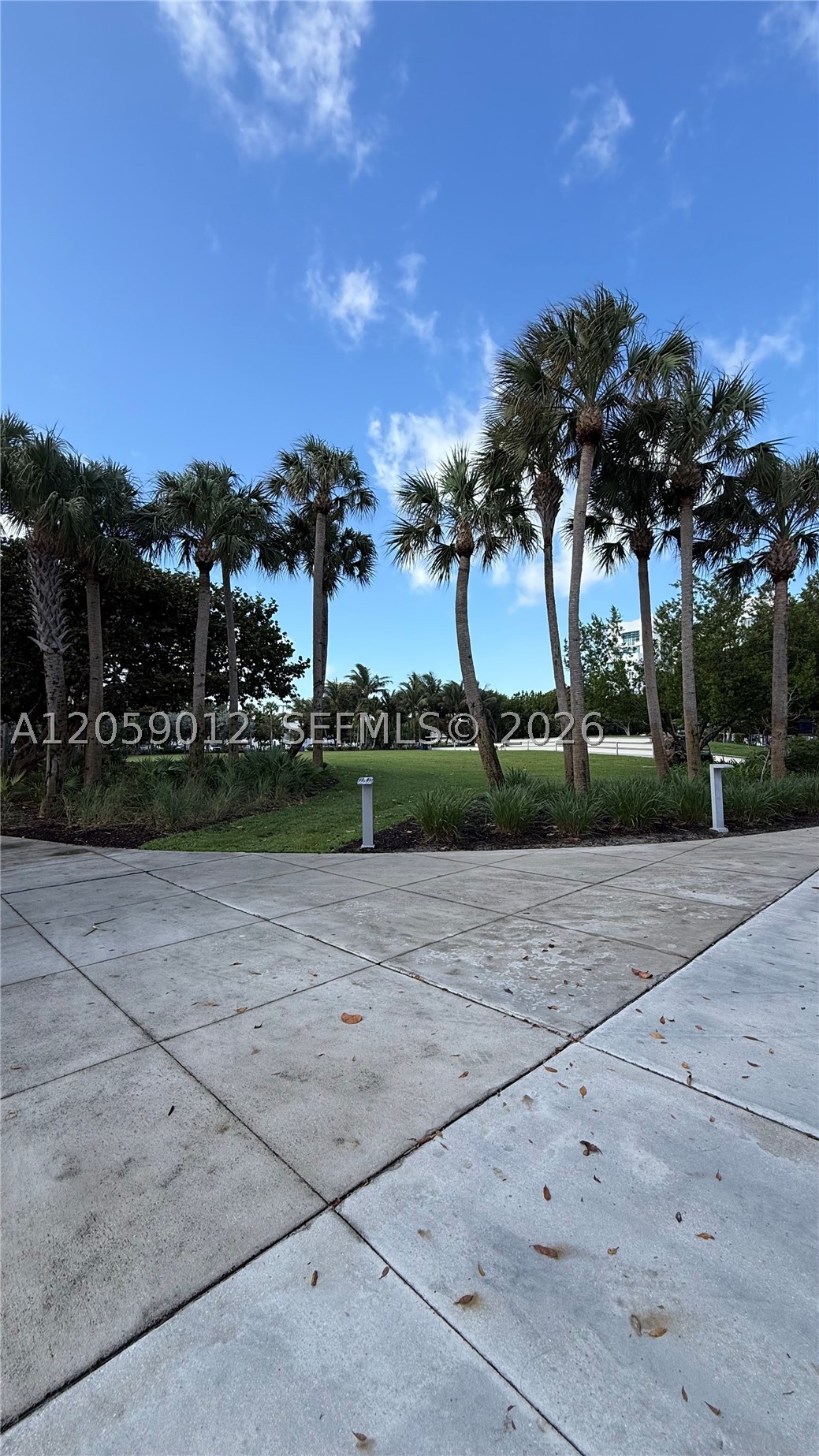 Miami Beach photo 4