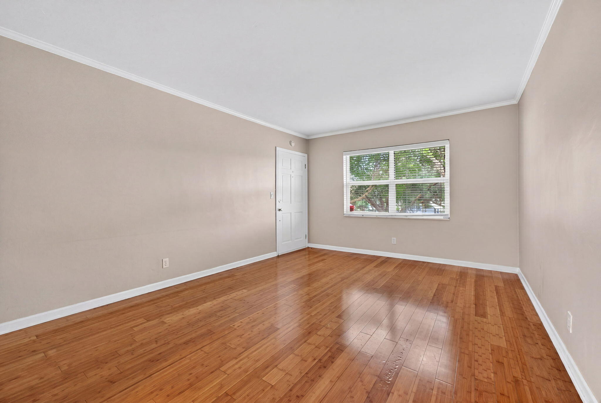 Miami Shores photo 2