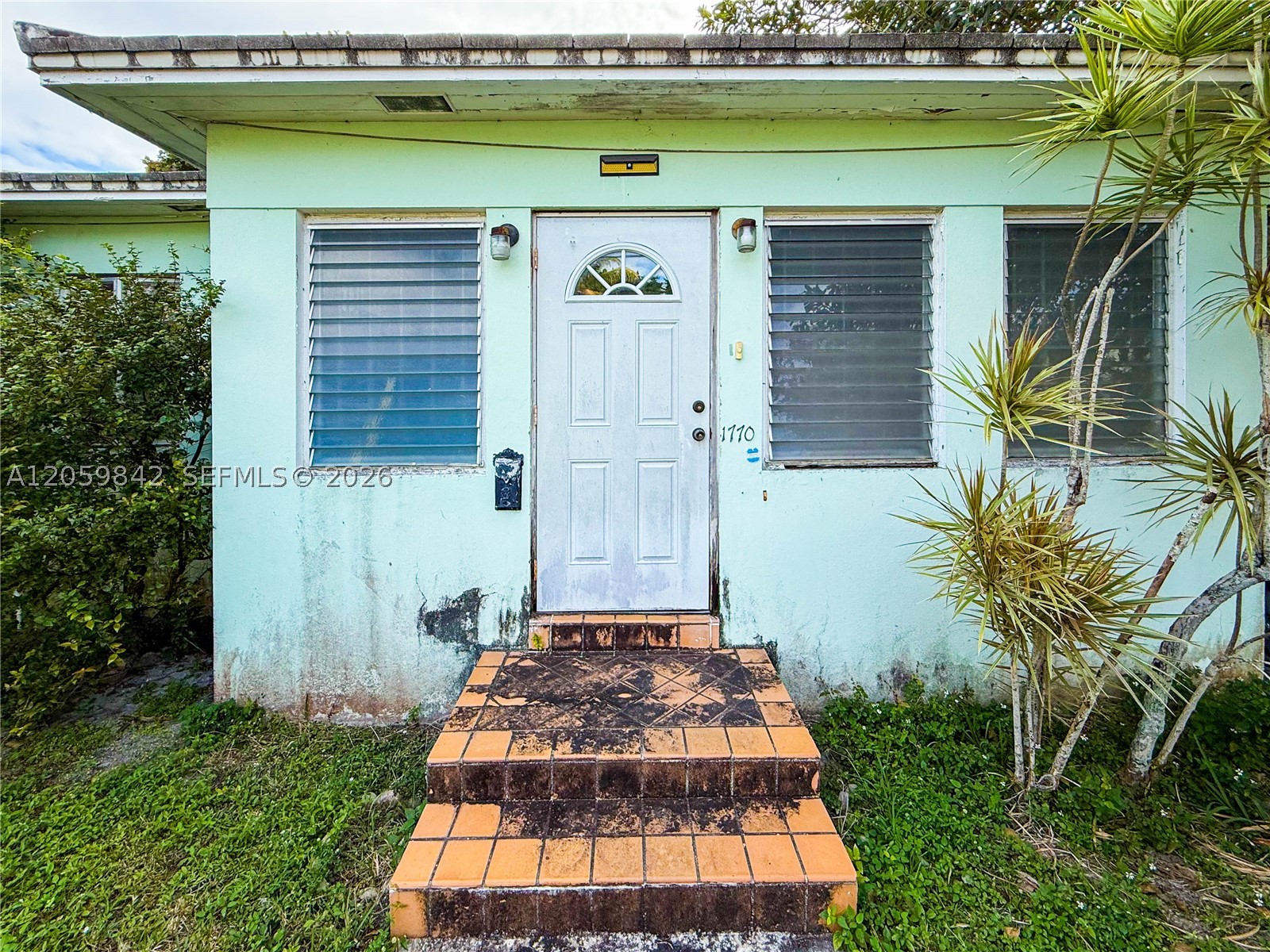 Miami photo 2