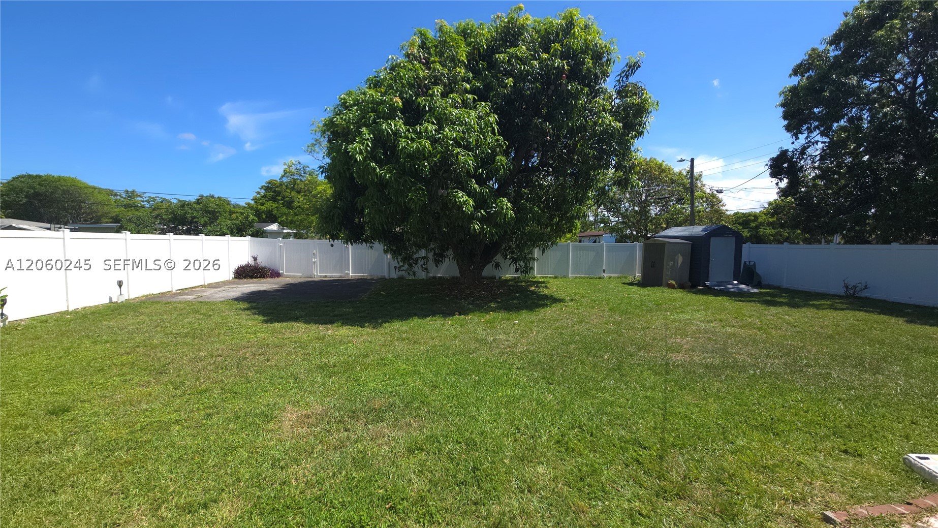North Miami photo 4