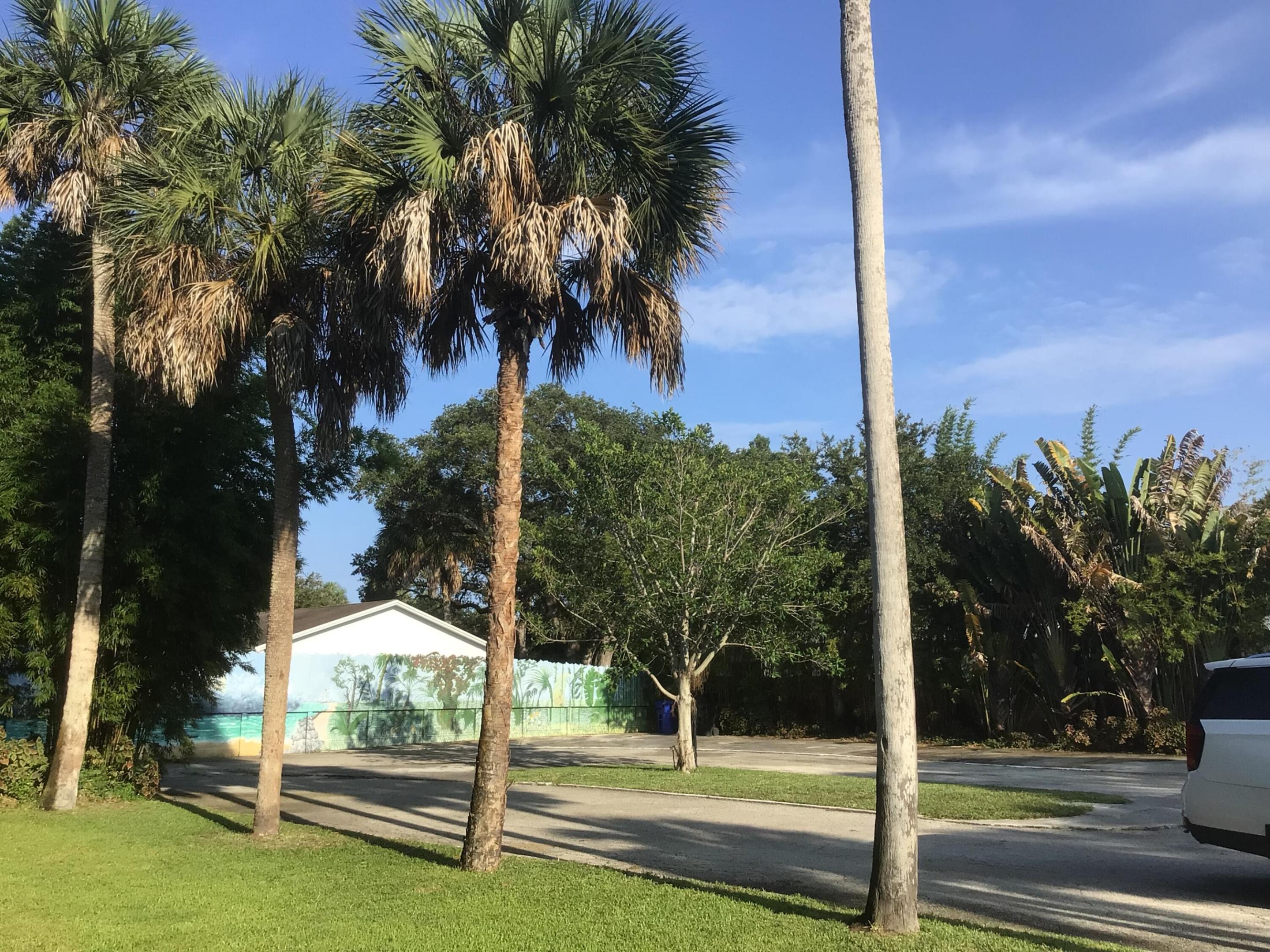 Fort Lauderdale photo 4
