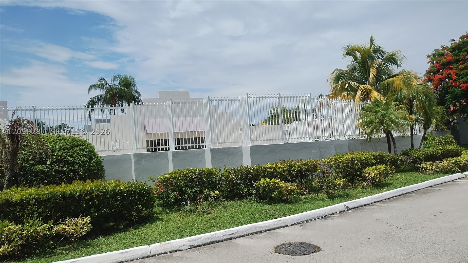 Miami photo 4