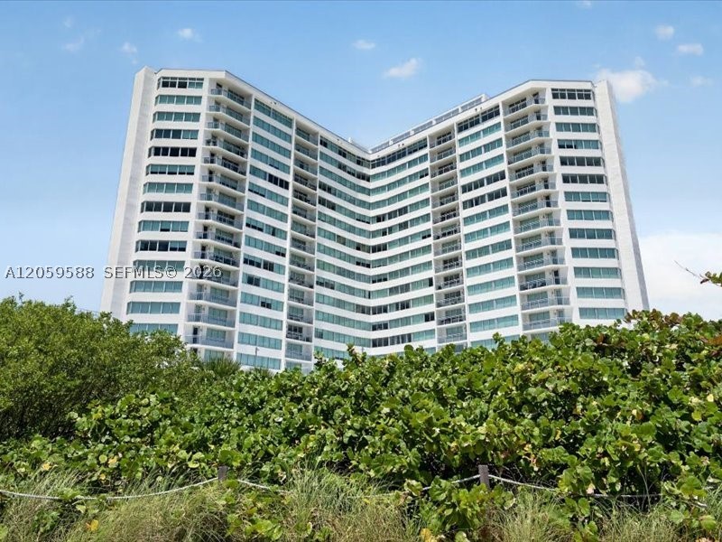 Miami Beach photo 3