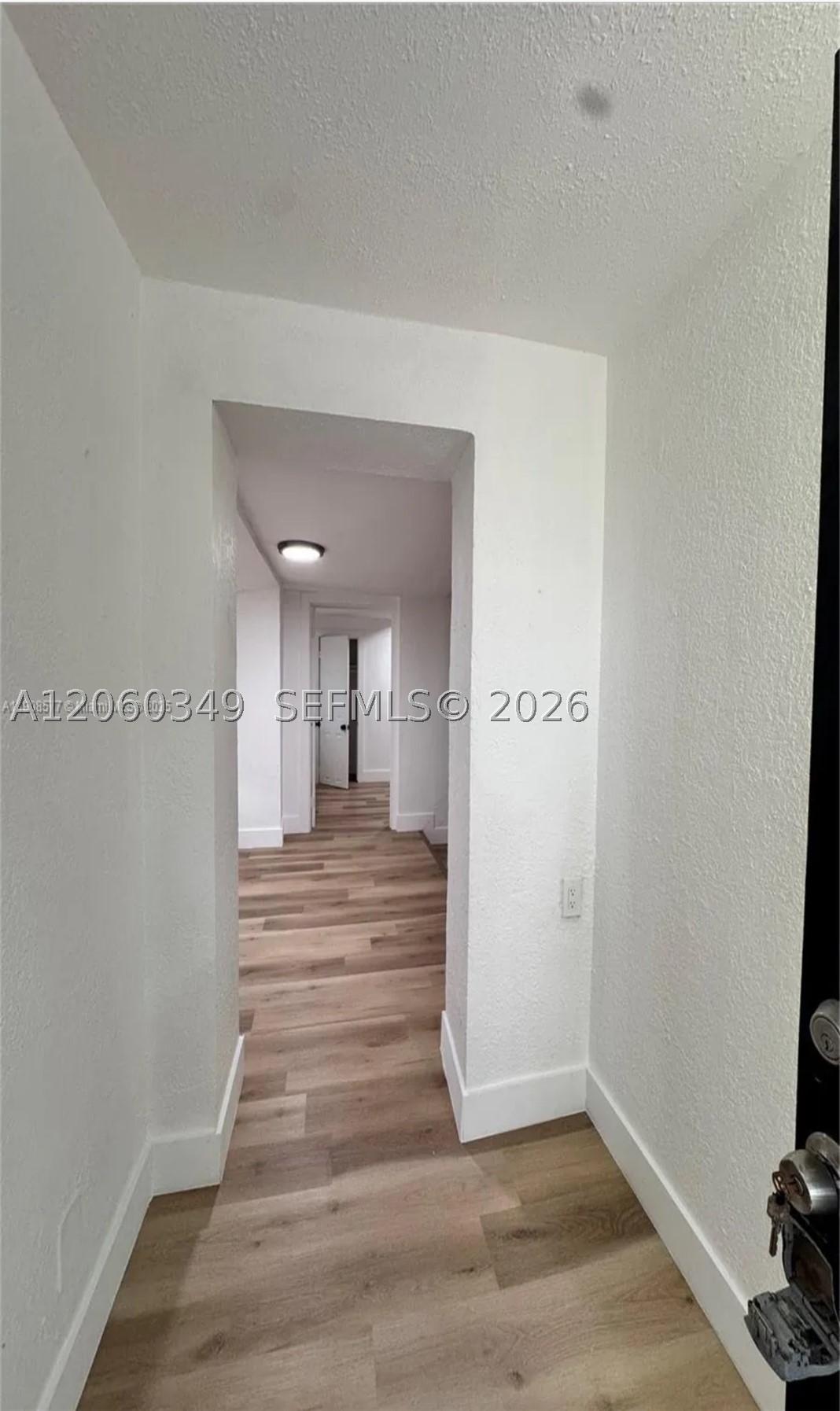 Miami photo 4