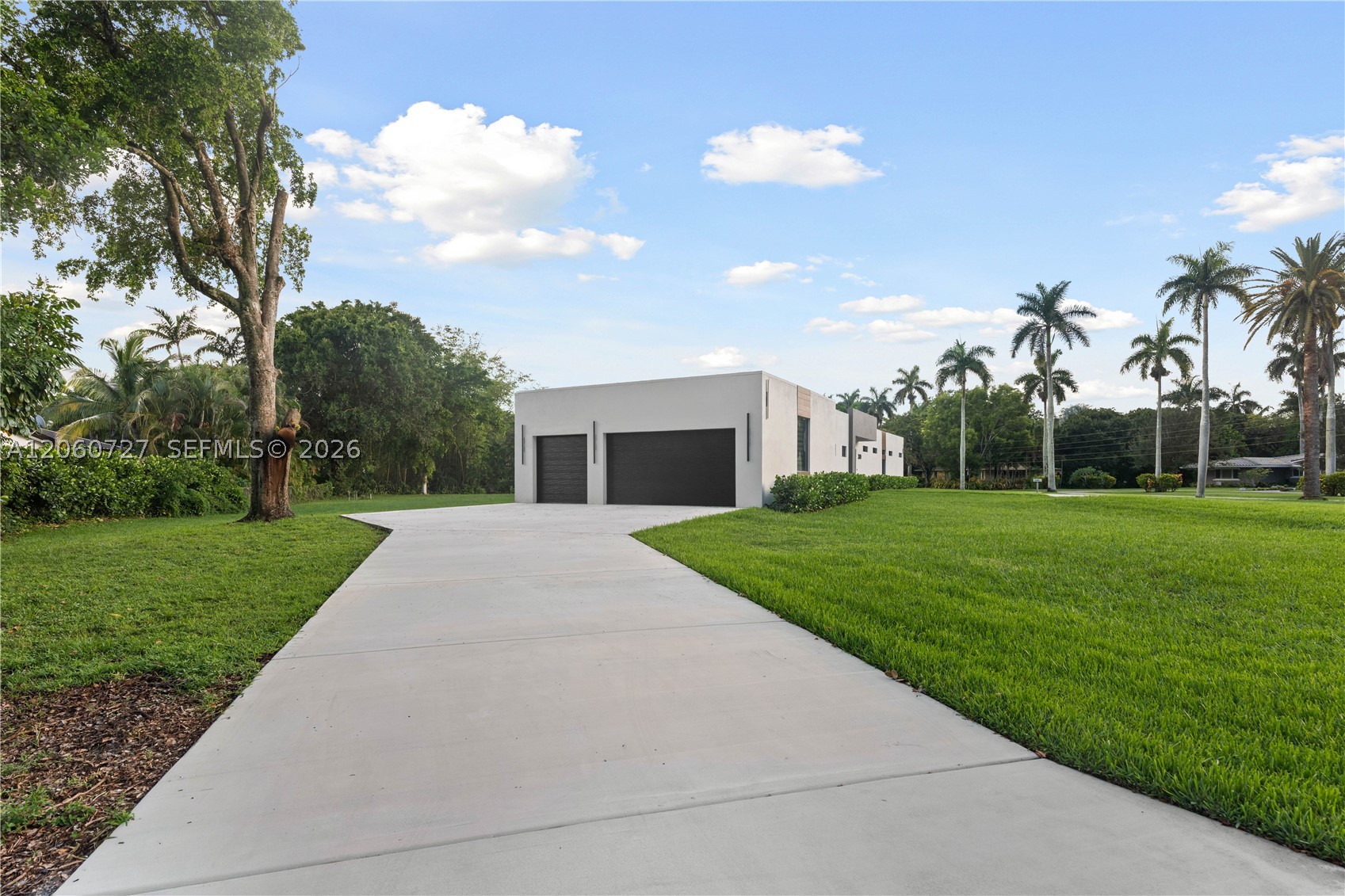 Plantation photo 4