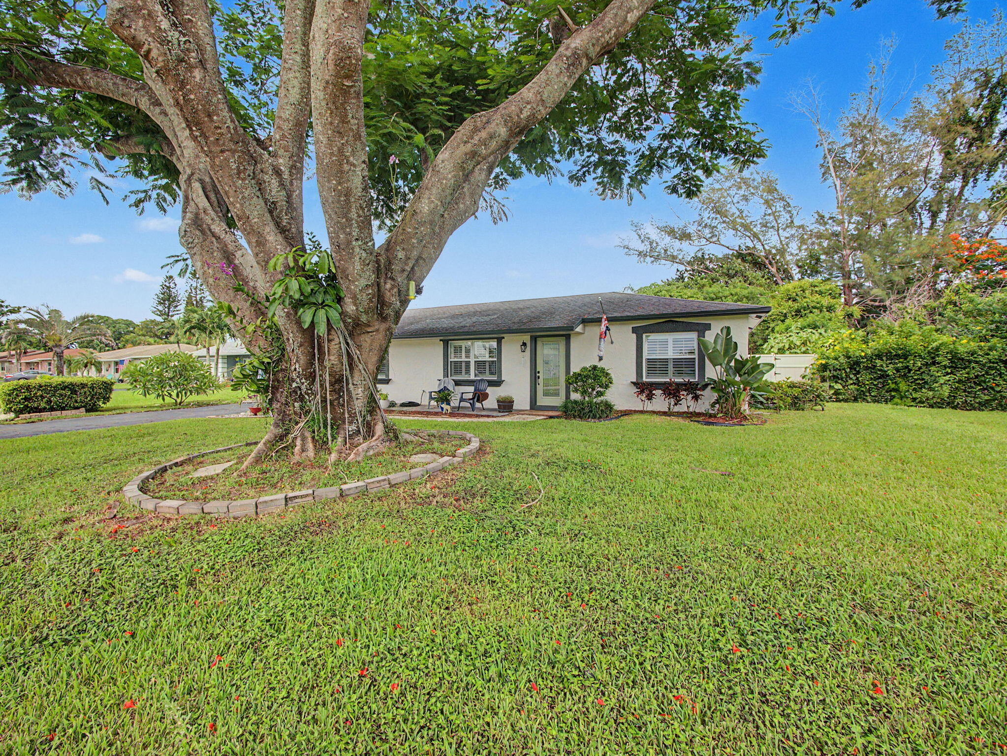 Boca Raton photo 5