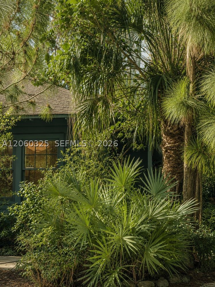 Miami photo 5