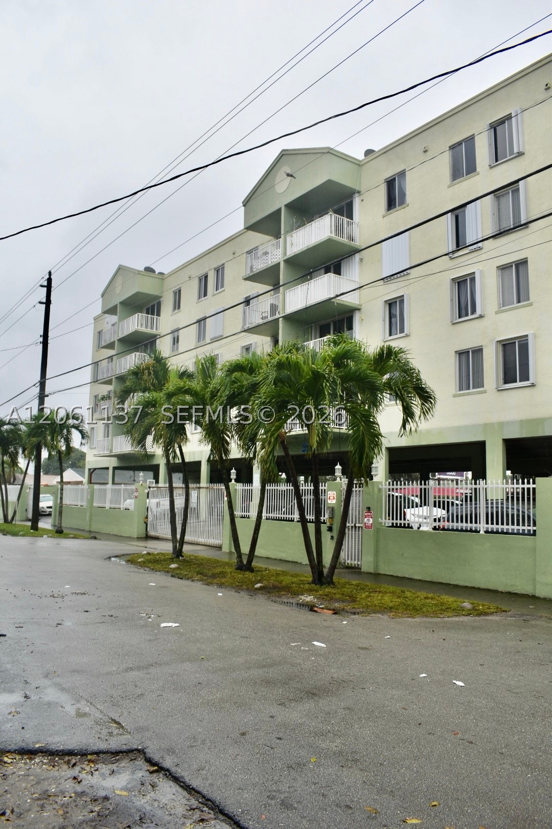 Miami photo 2