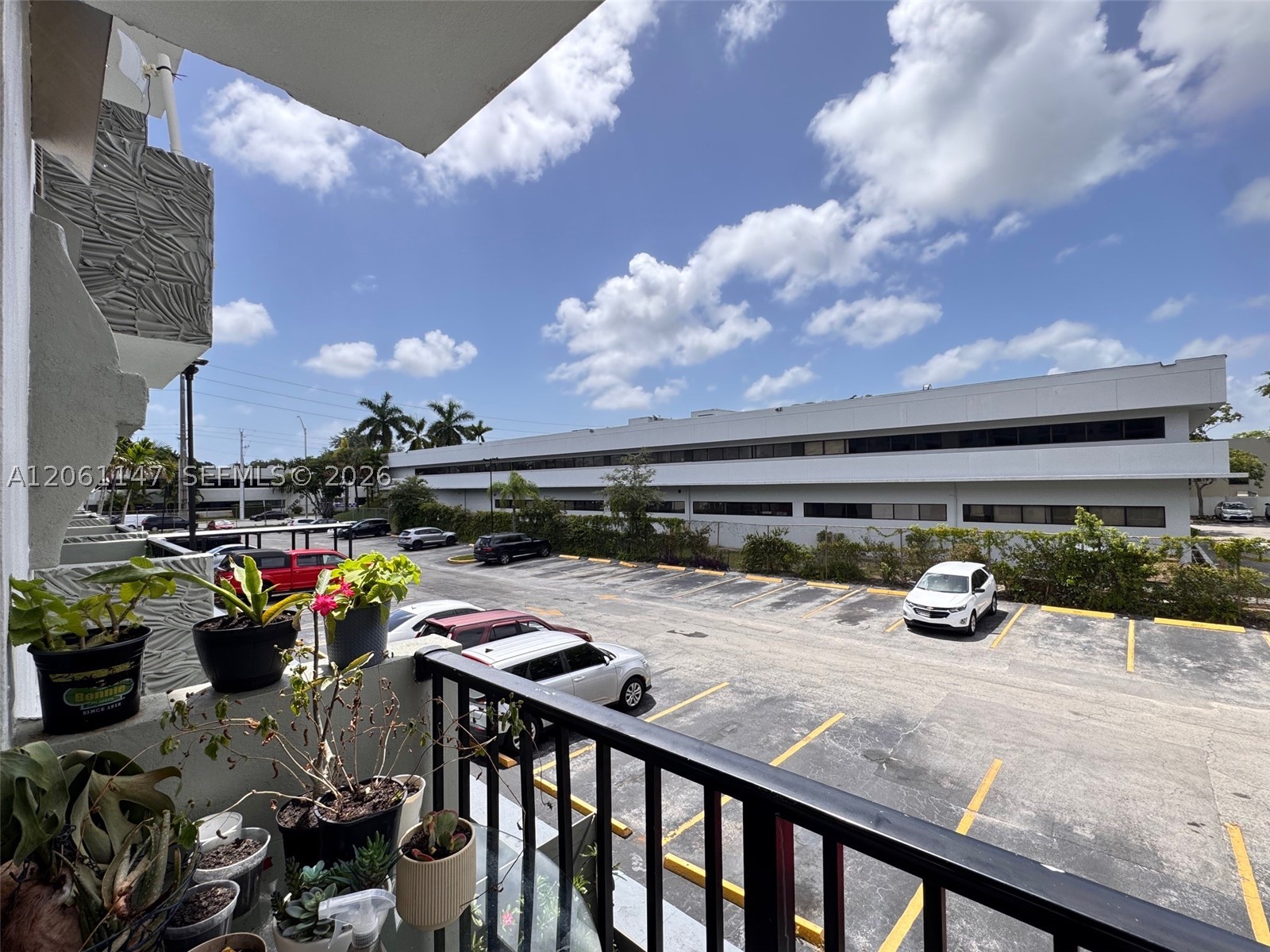 Miami photo 4