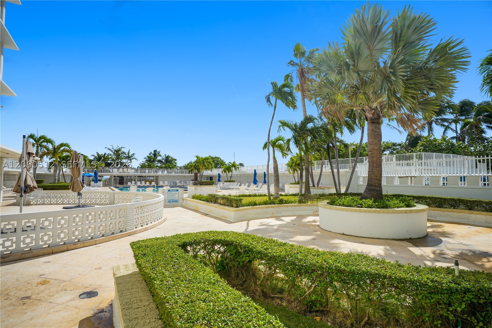 Miami Beach photo 4