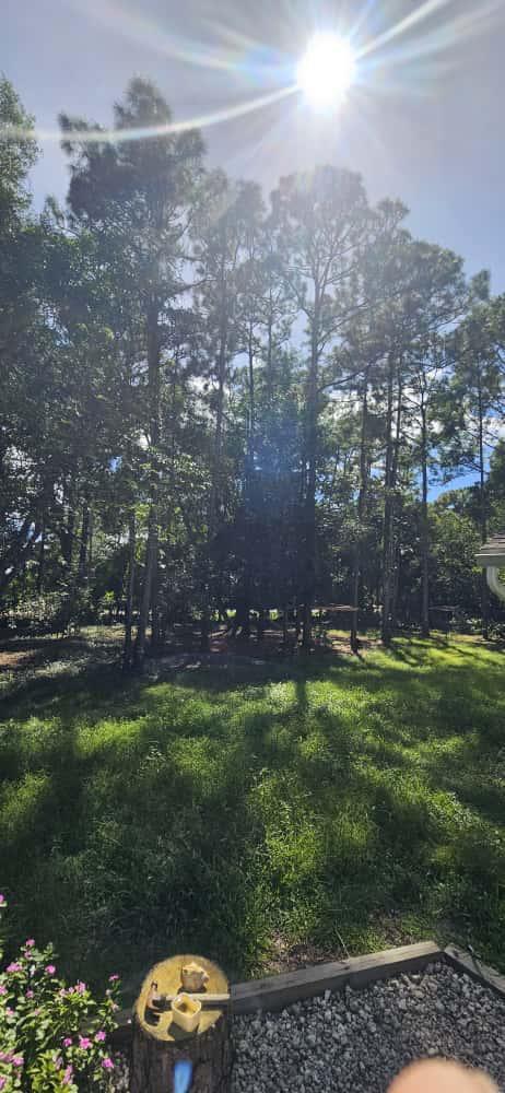 MLS listing photo 2