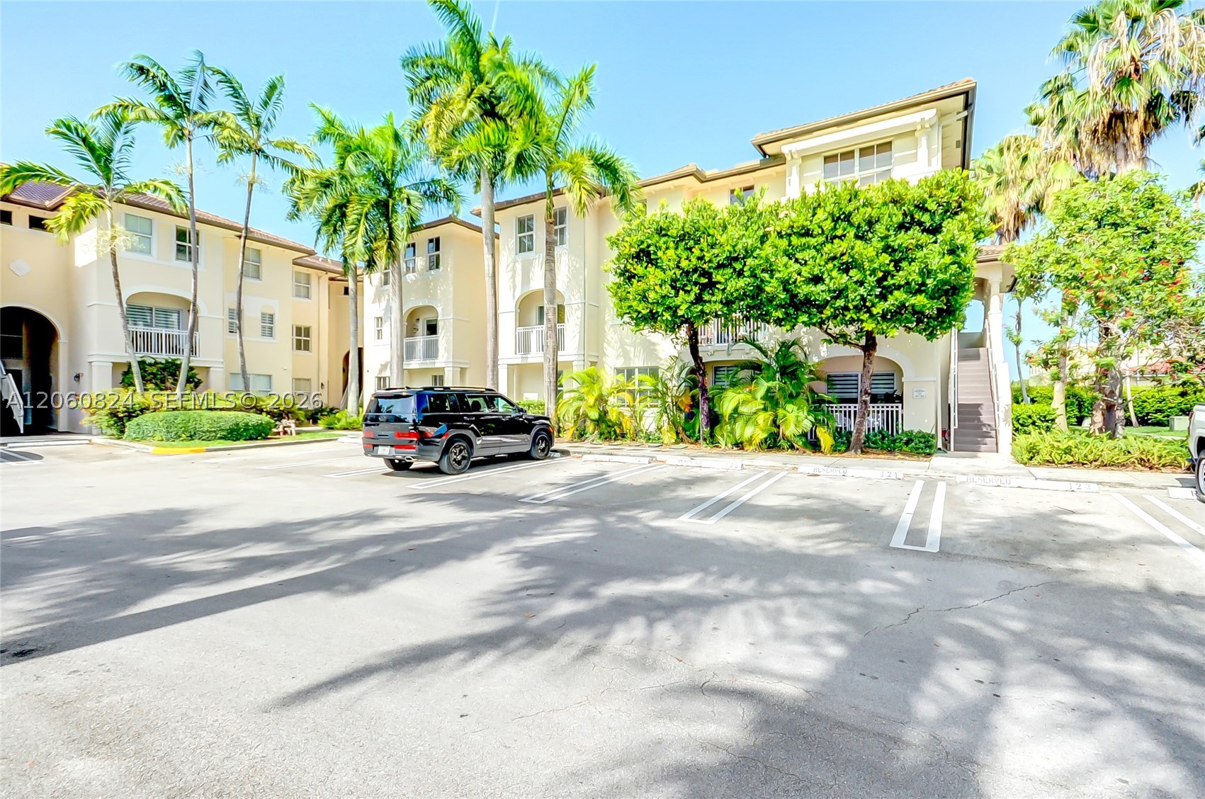 Doral photo 3