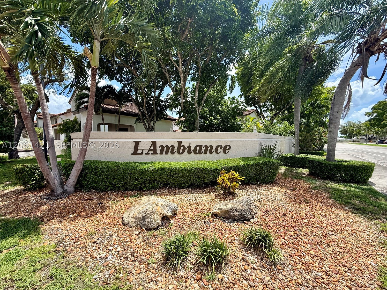 Miami photo 1