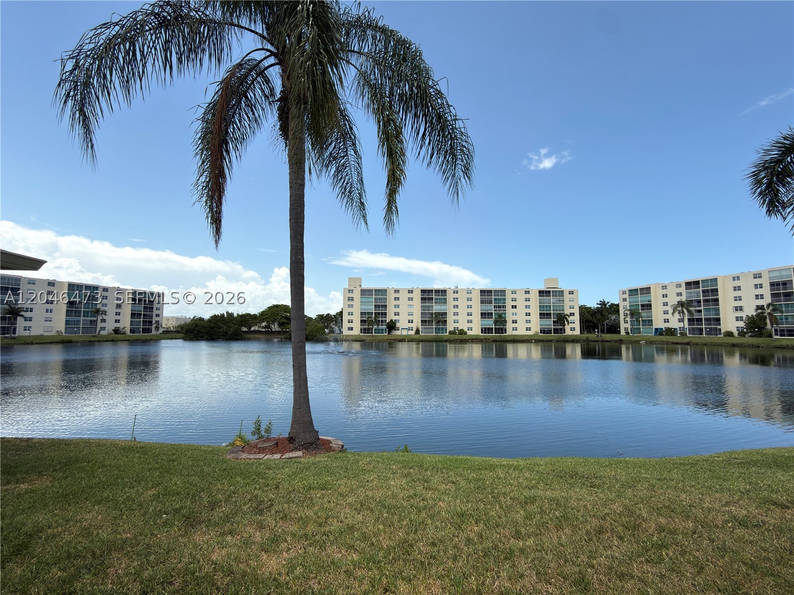 Dania Beach photo 4