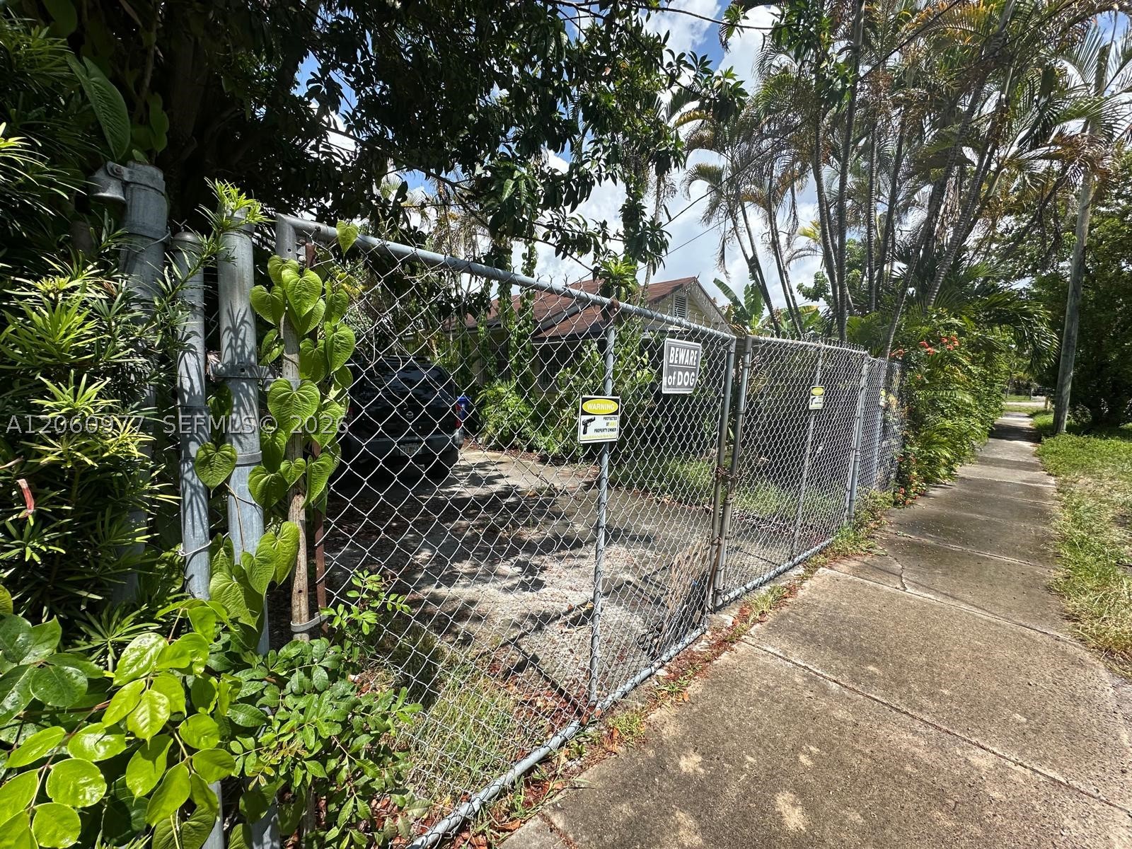 Miami photo 1