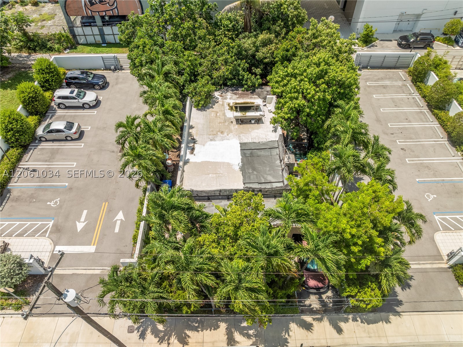 Miami photo 3