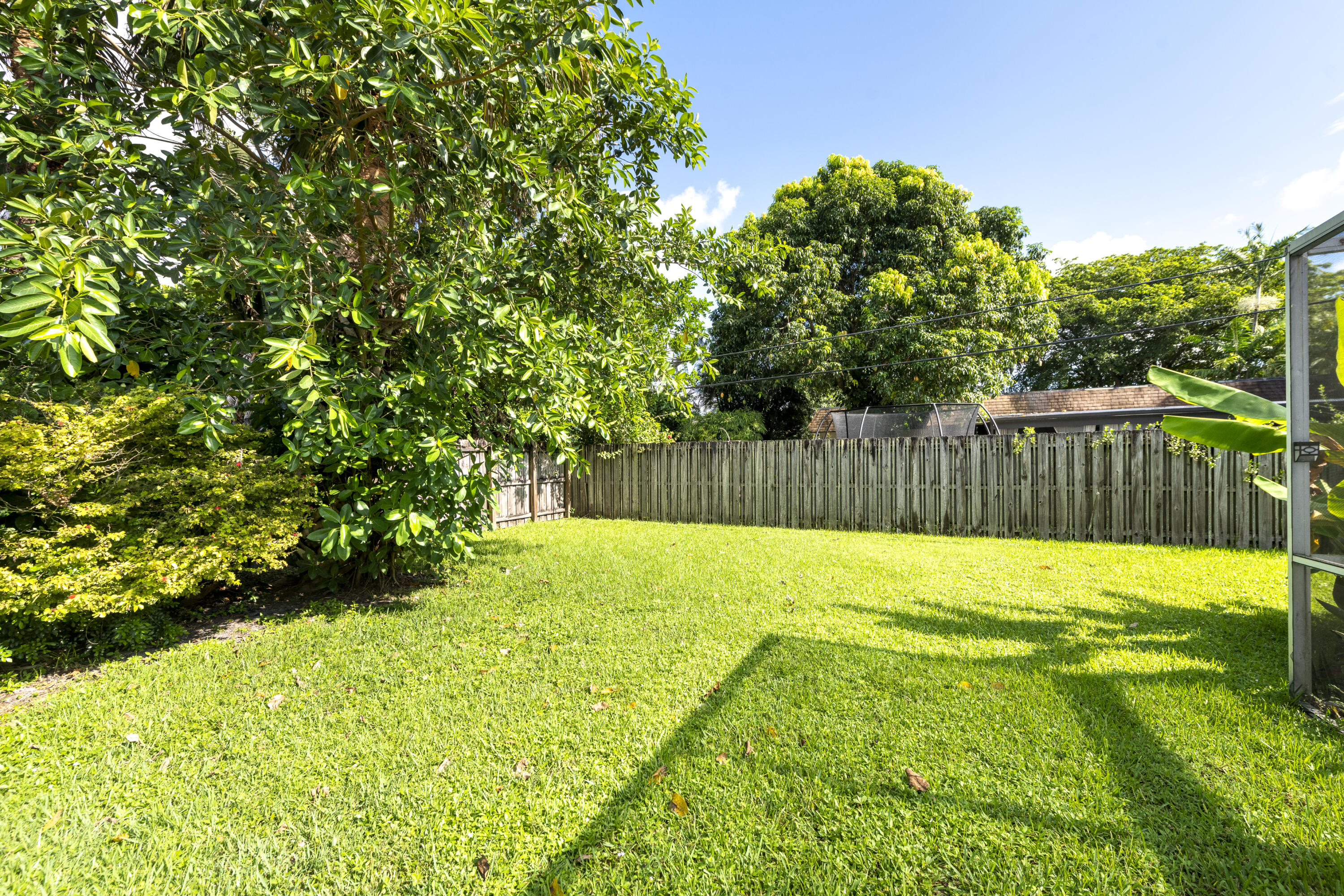 Plantation photo 3
