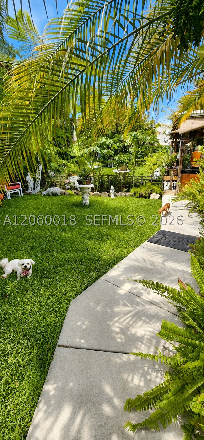Miami photo 3