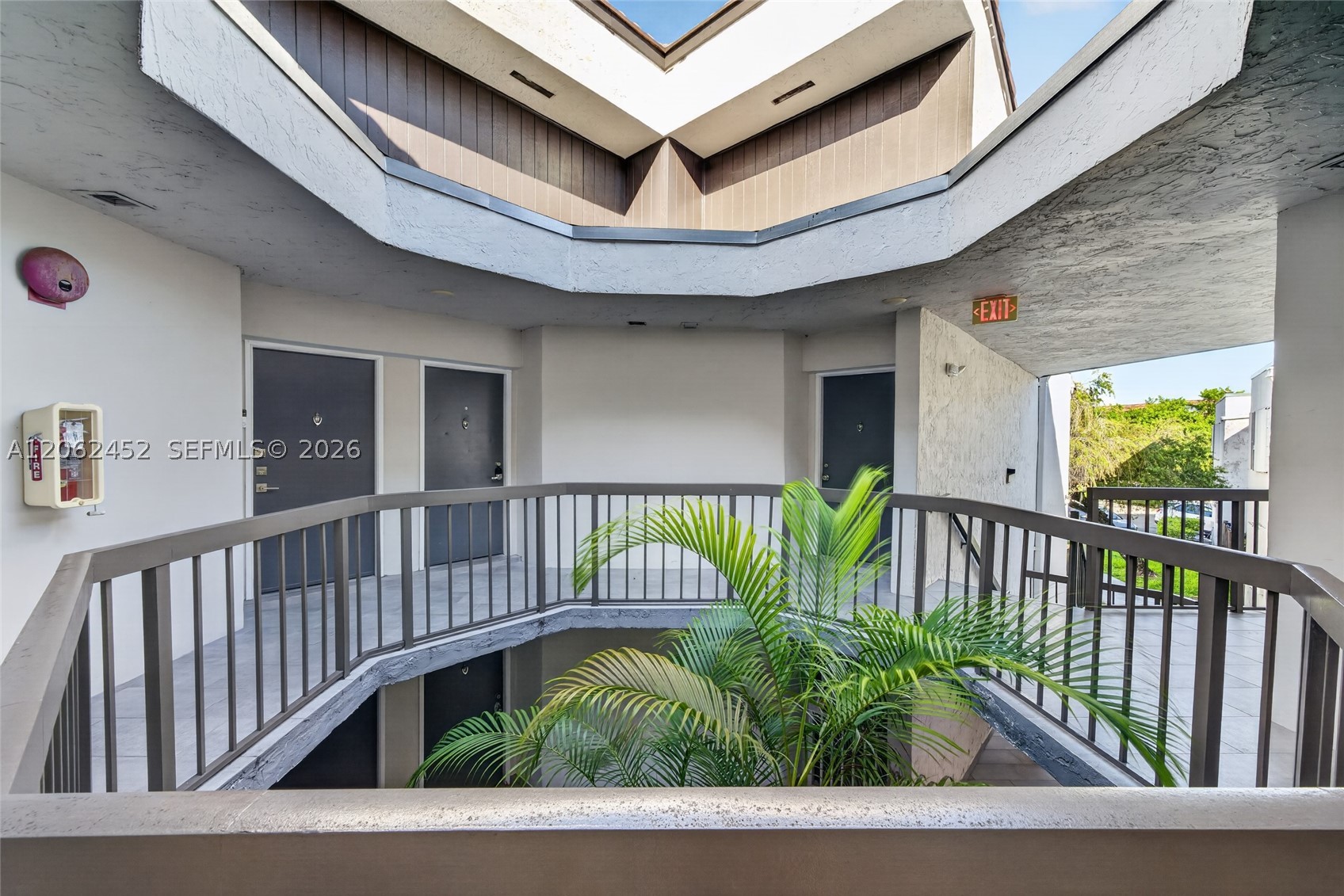 Miami photo 3