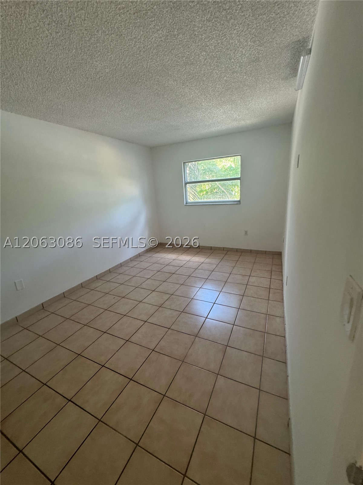 Miami photo 4